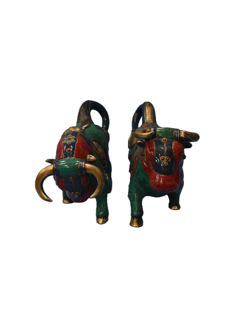 NANDI - Bulls of Shiva