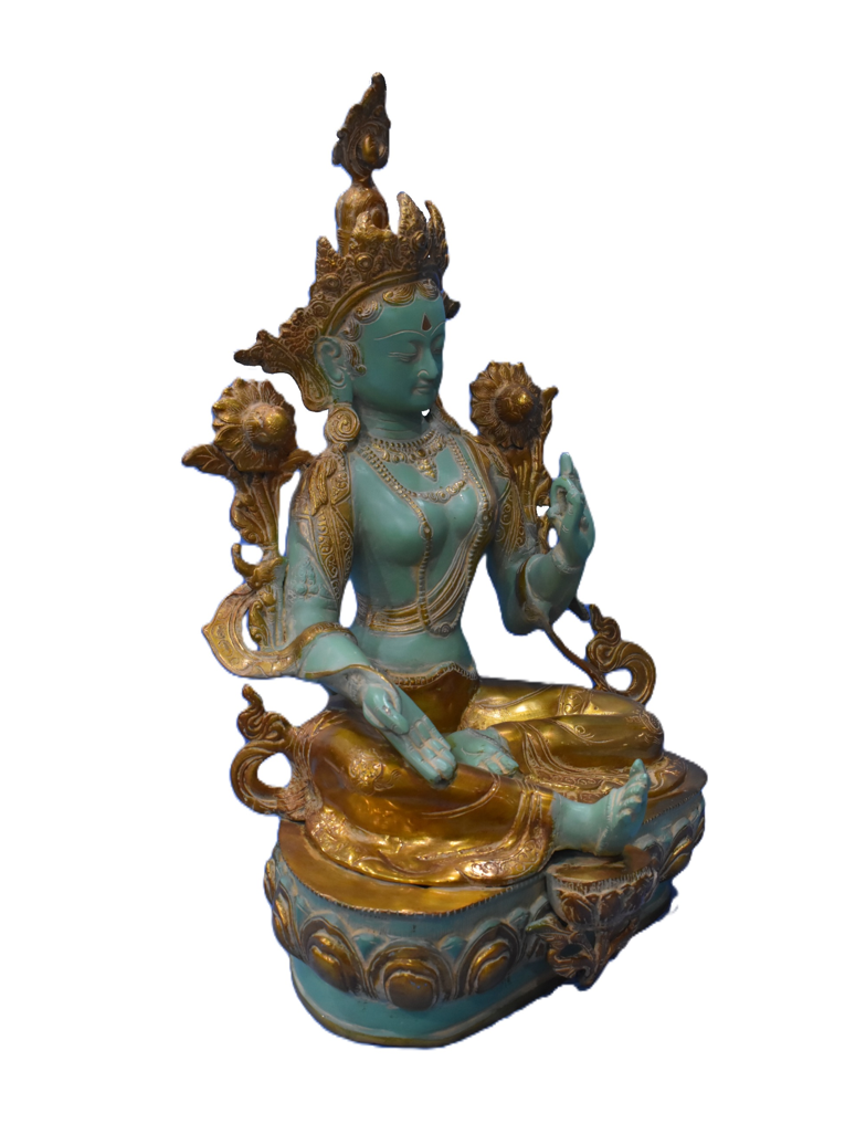 TARA Hariyo